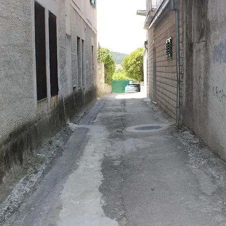 Bruno * 斯普利特