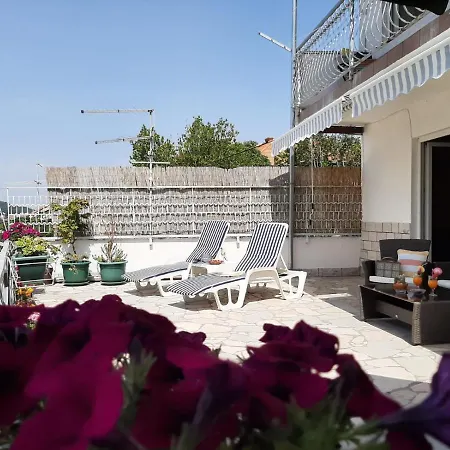 Bruno * 斯普利特