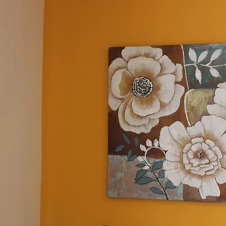 Bruno Apartment Split